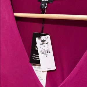 Express Fuchsia V-Neck Blouse